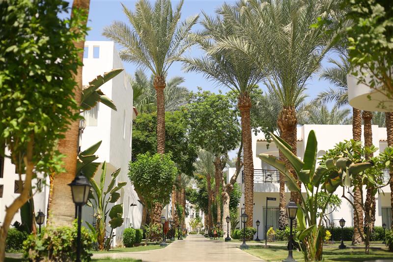 JAZ Fanara Resort